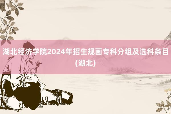   湖北经济学院2024年招生规画专科分组及选科条目(湖北)