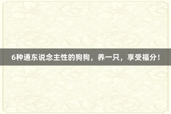   6种通东说念主性的狗狗，养一只，享受福分！