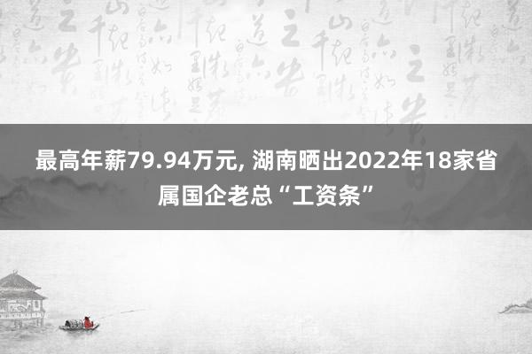   最高年薪79.94万元, 湖南晒出2022年18家省属国企老总“工资条”