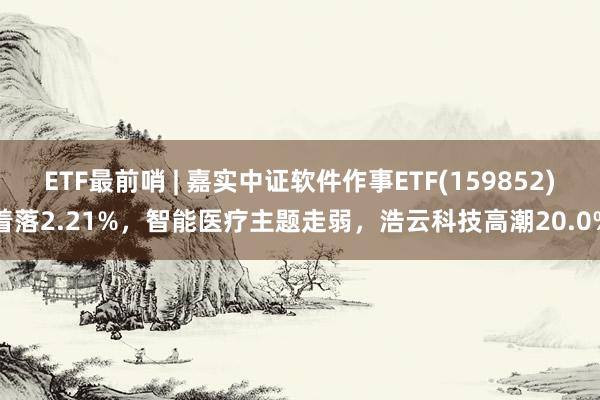   ETF最前哨 | 嘉实中证软件作事ETF(159852)着落2.21%，智能医疗主题走弱，浩云科技高潮20.0%