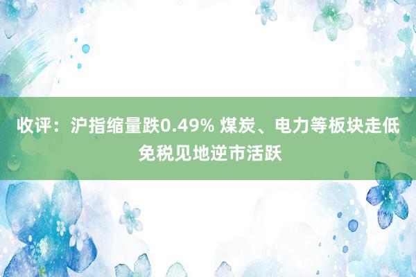   收评：沪指缩量跌0.49% 煤炭、电力等板块走低 免税见地逆市活跃