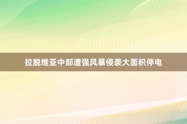   拉脱维亚中部遭强风暴侵袭大面积停电