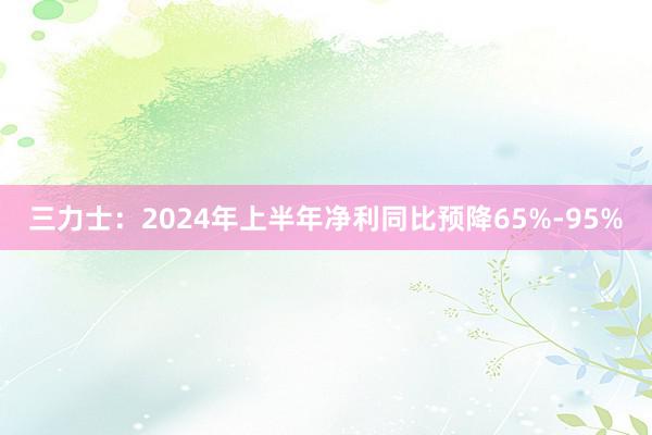   三力士：2024年上半年净利同比预降65%-95%