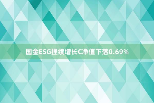   国金ESG捏续增长C净值下落0.69%