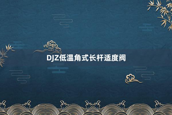   DJZ低温角式长杆适度阀