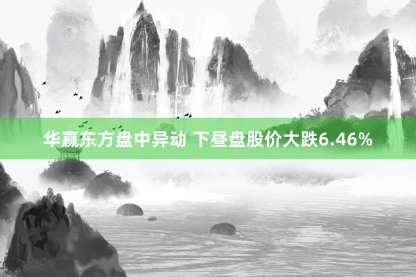   华赢东方盘中异动 下昼盘股价大跌6.46%